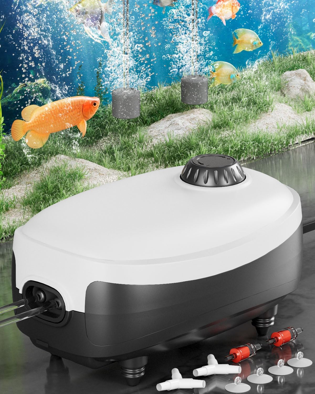 Dual Outlet Air Pump for Fish Tank